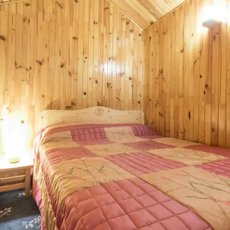 Le Tetras Lyre - Au Pied Du Telecabine Magnifique Mae-7651 لا بلاني