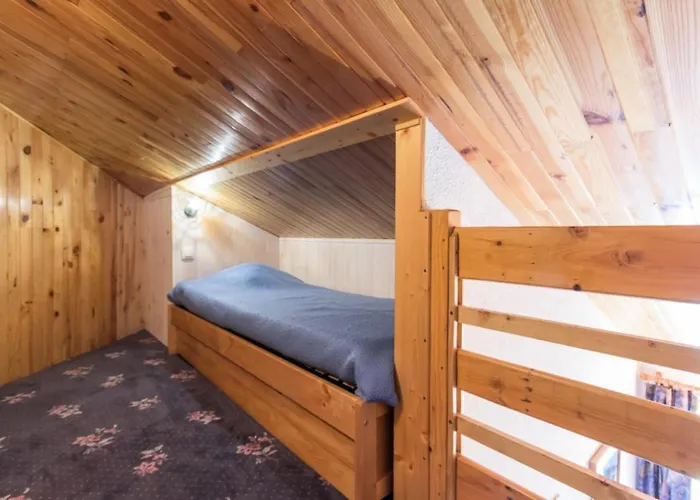 Le Tetras Lyre - Au Pied Du Telecabine Magnifique Mae-7651 *