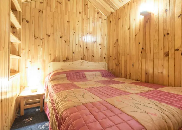 Le Tetras Lyre - Au Pied Du Telecabine Magnifique Mae-7651 La Plagne